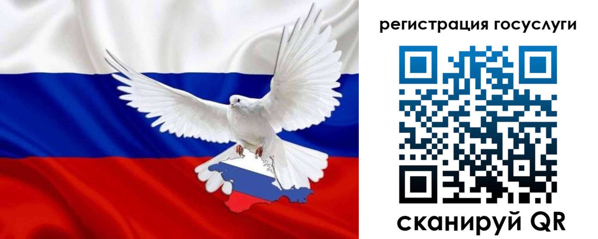 прописка законно в Зеленоградске